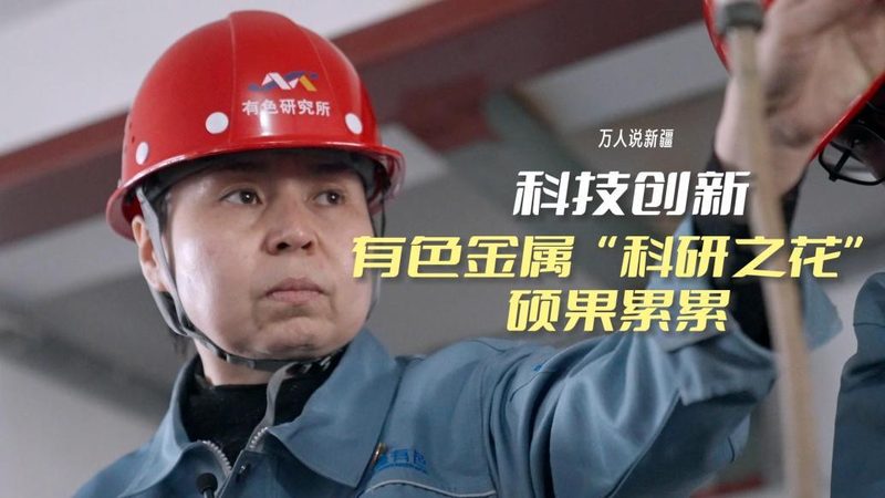 企业IT架构：云服务器与物理机的抉择之道